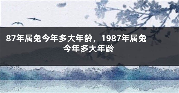 87年属兔今年多大年龄，1987年属兔今年多大年龄