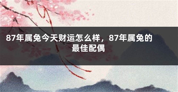87年属兔今天财运怎么样，87年属兔的最佳配偶