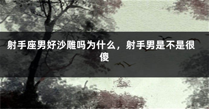 射手座男好沙雕吗为什么，射手男是不是很傻