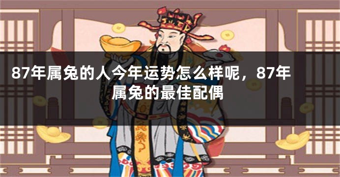 87年属兔的人今年运势怎么样呢，87年属兔的最佳配偶