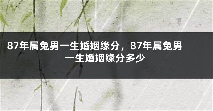 87年属兔男一生婚姻缘分，87年属兔男一生婚姻缘分多少