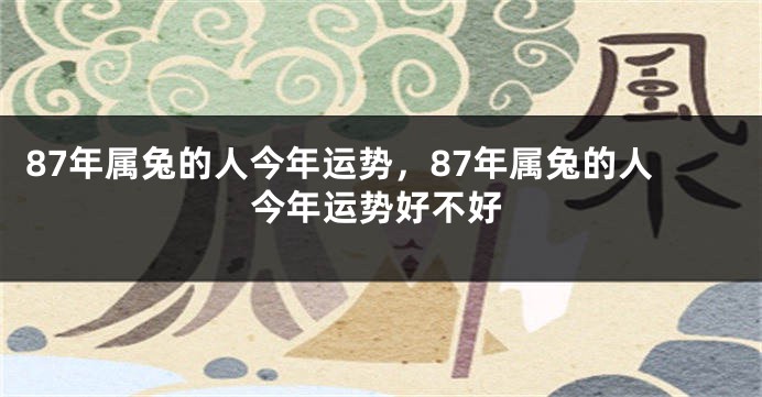 87年属兔的人今年运势，87年属兔的人今年运势好不好