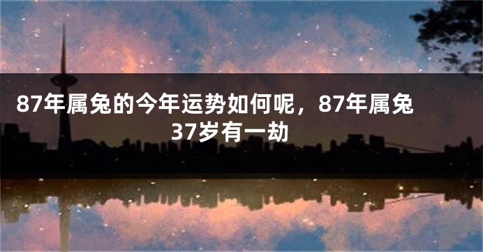 87年属兔的今年运势如何呢，87年属兔37岁有一劫