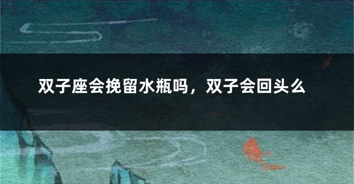 双子座会挽留水瓶吗，双子会回头么