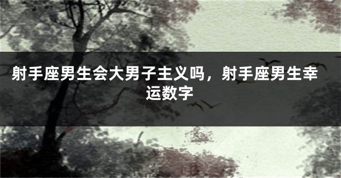 射手座男生会大男子主义吗，射手座男生幸运数字