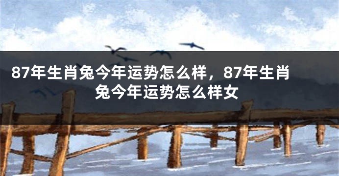 87年生肖兔今年运势怎么样，87年生肖兔今年运势怎么样女