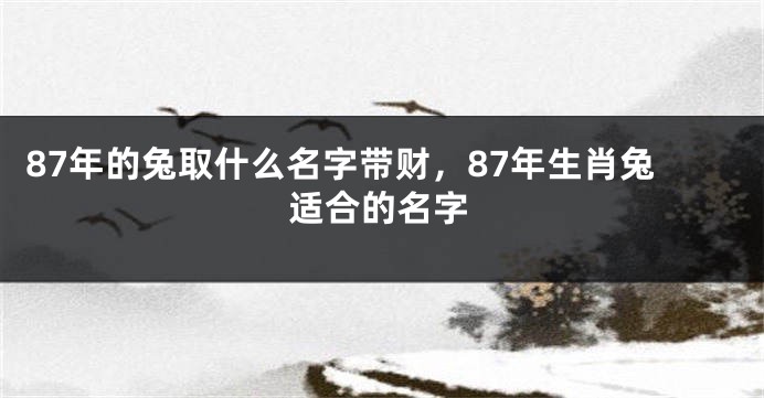 87年的兔取什么名字带财，87年生肖兔适合的名字