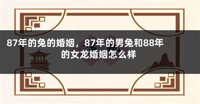 87年的兔的婚姻，87年的男兔和88年的女龙婚姻怎么样