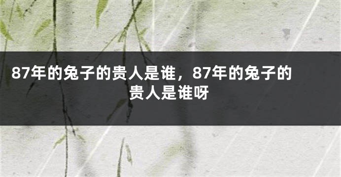 87年的兔子的贵人是谁，87年的兔子的贵人是谁呀