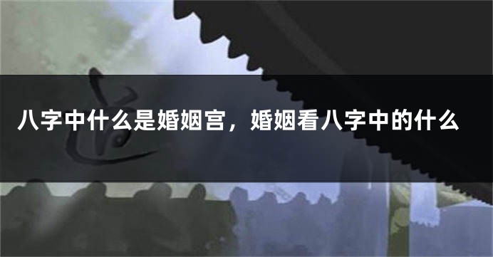 八字中什么是婚姻宫，婚姻看八字中的什么