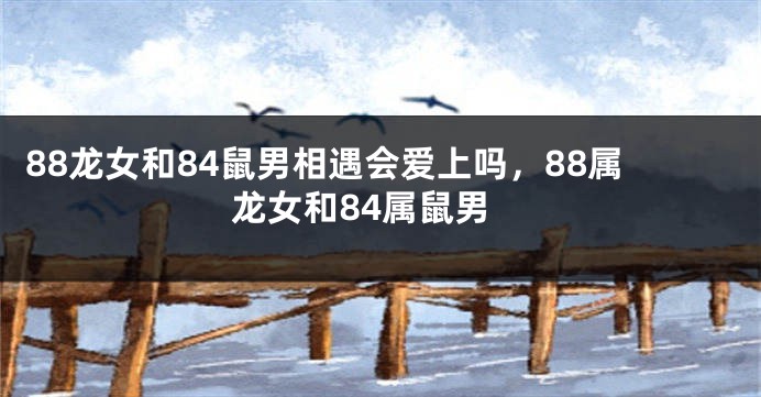 88龙女和84鼠男相遇会爱上吗，88属龙女和84属鼠男