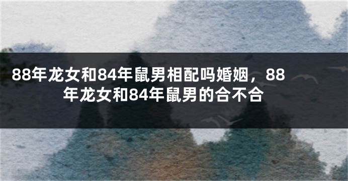 88年龙女和84年鼠男相配吗婚姻，88年龙女和84年鼠男的合不合