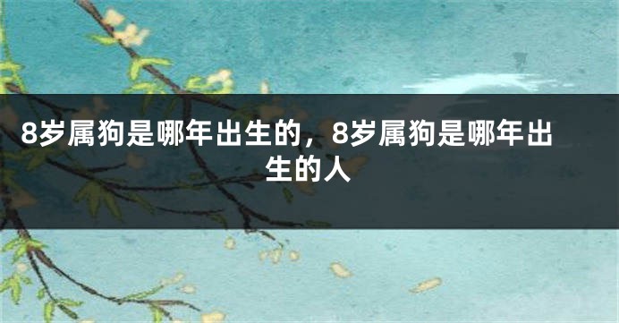 8岁属狗是哪年出生的，8岁属狗是哪年出生的人