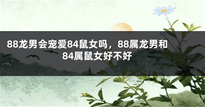 88龙男会宠爱84鼠女吗，88属龙男和84属鼠女好不好