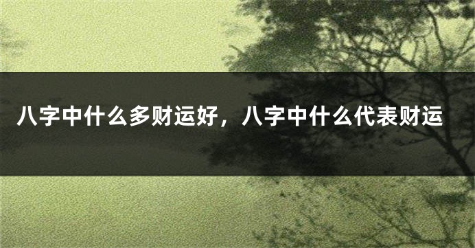 八字中什么多财运好，八字中什么代表财运