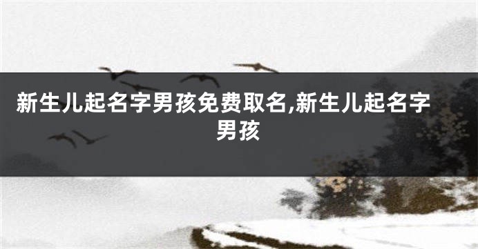新生儿起名字男孩免费取名,新生儿起名字男孩