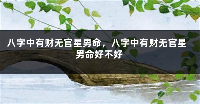 八字中有财无官星男命，八字中有财无官星男命好不好
