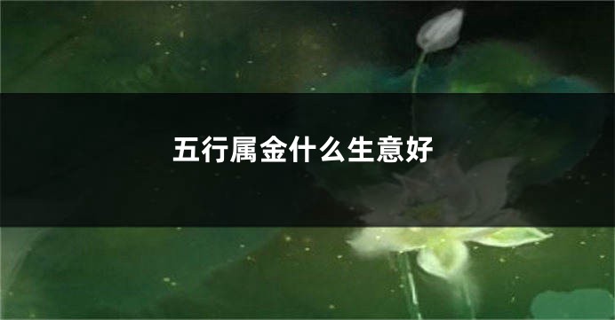 五行属金什么生意好