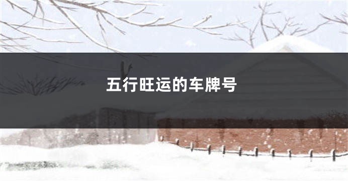 五行旺运的车牌号