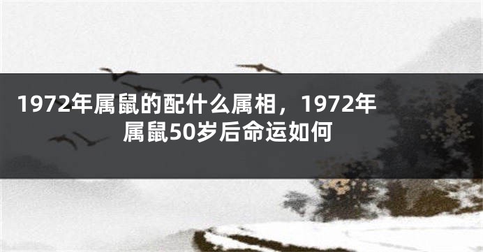 1972年属鼠的配什么属相，1972年属鼠50岁后命运如何