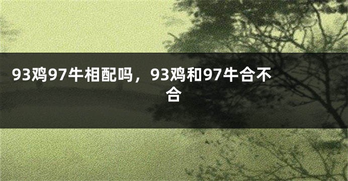 93鸡97牛相配吗，93鸡和97牛合不合
