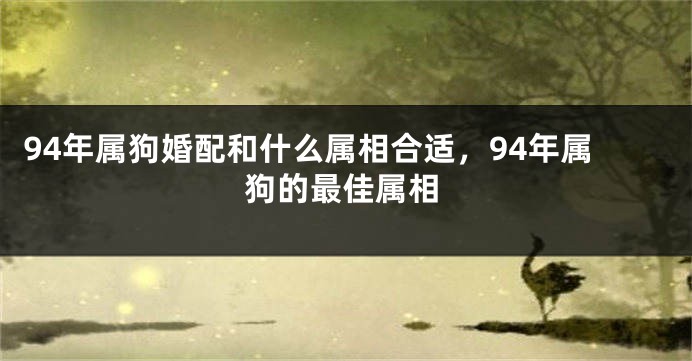 94年属狗婚配和什么属相合适，94年属狗的最佳属相