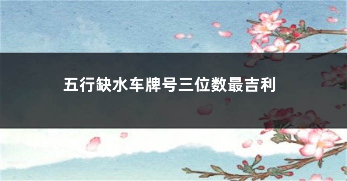 五行缺水车牌号三位数最吉利