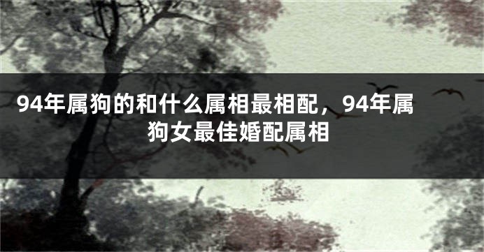 94年属狗的和什么属相最相配，94年属狗女最佳婚配属相