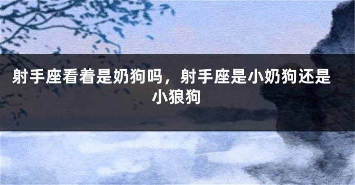 射手座看着是奶狗吗，射手座是小奶狗还是小狼狗