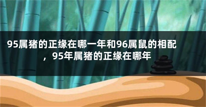 95属猪的正缘在哪一年和96属鼠的相配，95年属猪的正缘在哪年