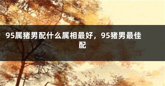 95属猪男配什么属相最好，95猪男最佳配