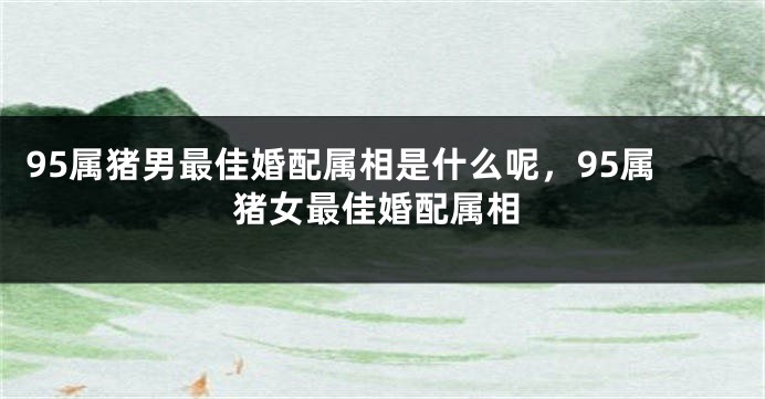 95属猪男最佳婚配属相是什么呢，95属猪女最佳婚配属相