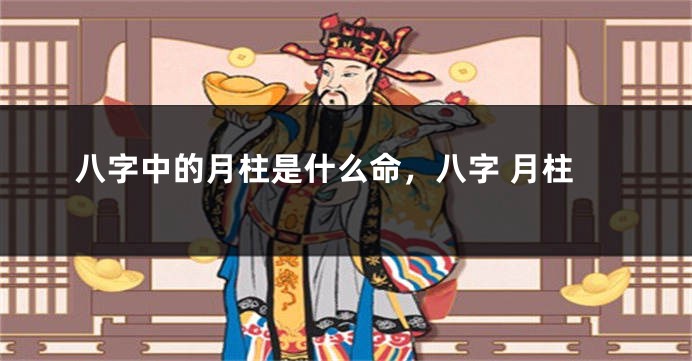 八字中的月柱是什么命，八字 月柱