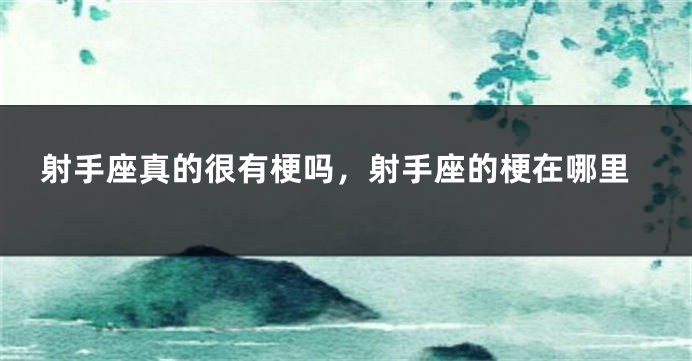 射手座真的很有梗吗，射手座的梗在哪里