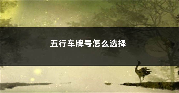 五行车牌号怎么选择