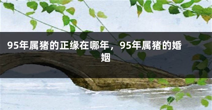 95年属猪的正缘在哪年，95年属猪的婚姻