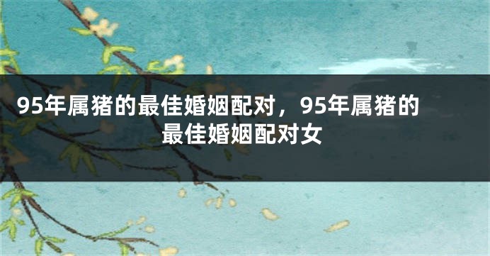 95年属猪的最佳婚姻配对，95年属猪的最佳婚姻配对女