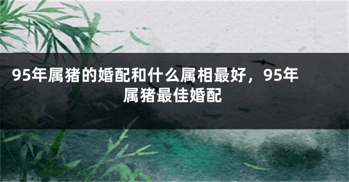 95年属猪的婚配和什么属相最好，95年属猪最佳婚配