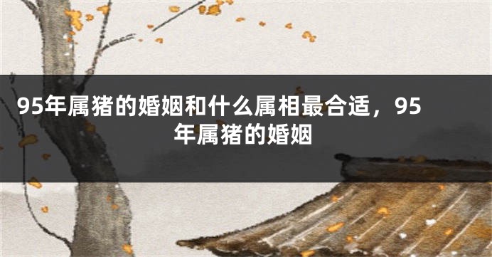 95年属猪的婚姻和什么属相最合适，95年属猪的婚姻