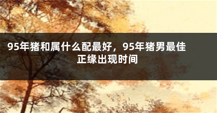 95年猪和属什么配最好，95年猪男最佳正缘出现时间