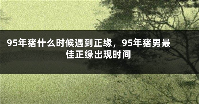 95年猪什么时候遇到正缘，95年猪男最佳正缘出现时间