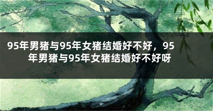 95年男猪与95年女猪结婚好不好，95年男猪与95年女猪结婚好不好呀