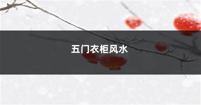 五门衣柜风水