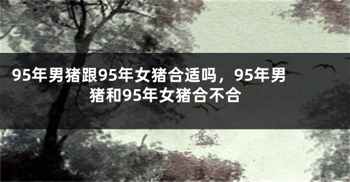 95年男猪跟95年女猪合适吗，95年男猪和95年女猪合不合