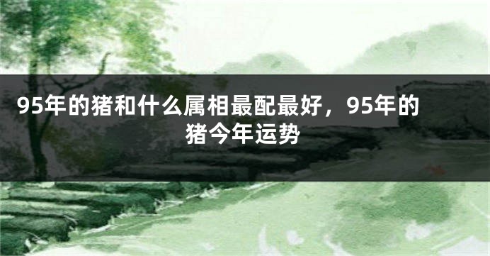 95年的猪和什么属相最配最好，95年的猪今年运势