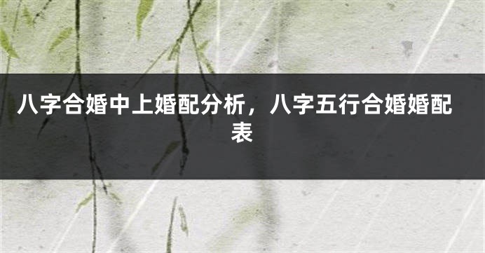 八字合婚中上婚配分析，八字五行合婚婚配表