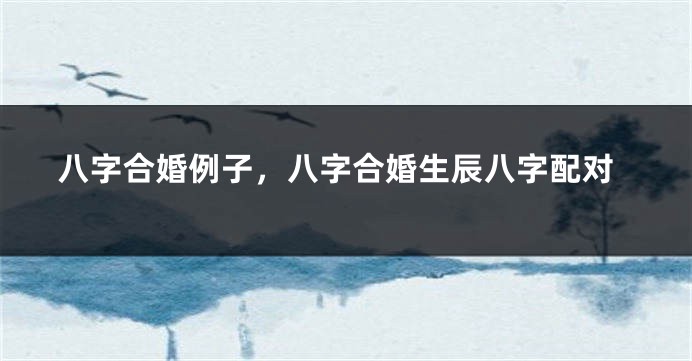 八字合婚例子，八字合婚生辰八字配对