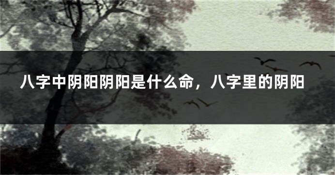 八字中阴阳阴阳是什么命，八字里的阴阳