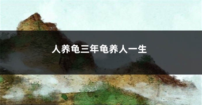 人养龟三年龟养人一生