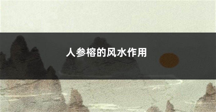 人参榕的风水作用
